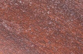 對于家里灰塵的清理，有什么方法嗎？