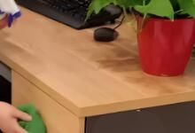 辦公區(qū)域保潔要做哪些呢？