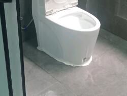 衛(wèi)生間有異味，有什么去除小技巧呢？