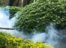 四害消殺完成后，需要做哪些鞏固工作呢？